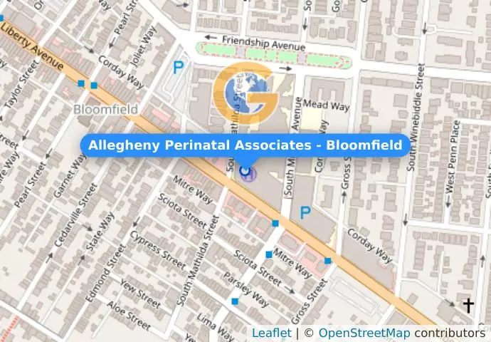 Allegheny Perinatal Associates - Bloomfield