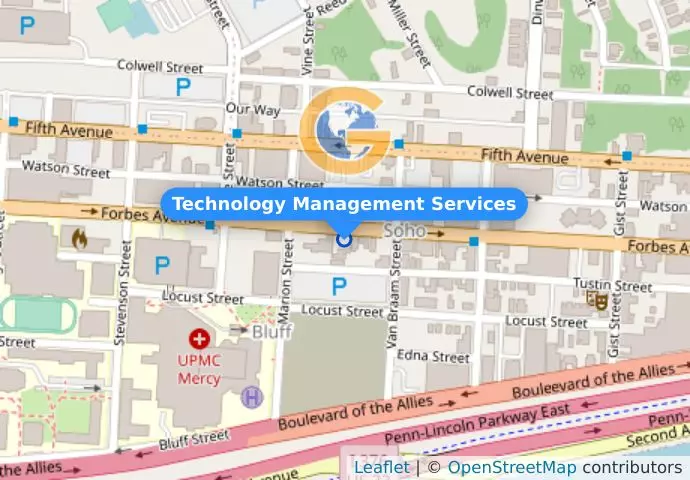 Technology Management Services