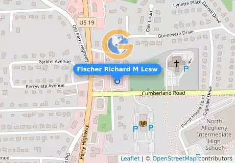 Fischer Richard M Lcsw