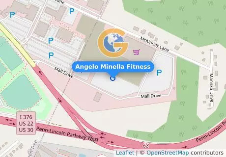 Angelo Minella Fitness