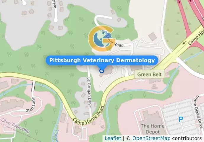Pittsburgh Veterinary Dermatology