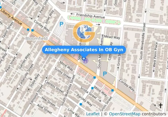 Allegheny Associates In OB Gyn