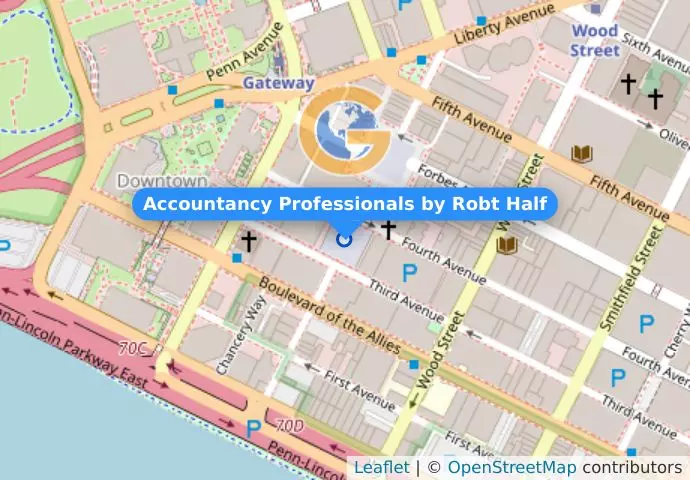 Accountancy Professionals by Robt Half