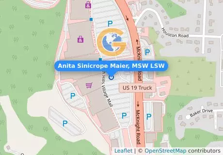 Anita Sinicrope Maier, MSW LSW