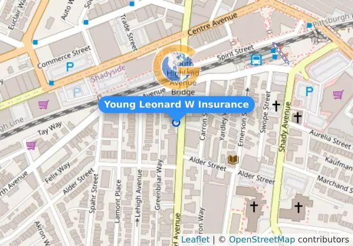 Young Leonard W Insurance