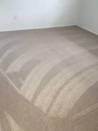 Clean & Pristine Services