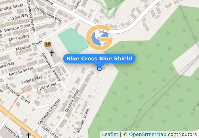 Blue Cross Blue Shield