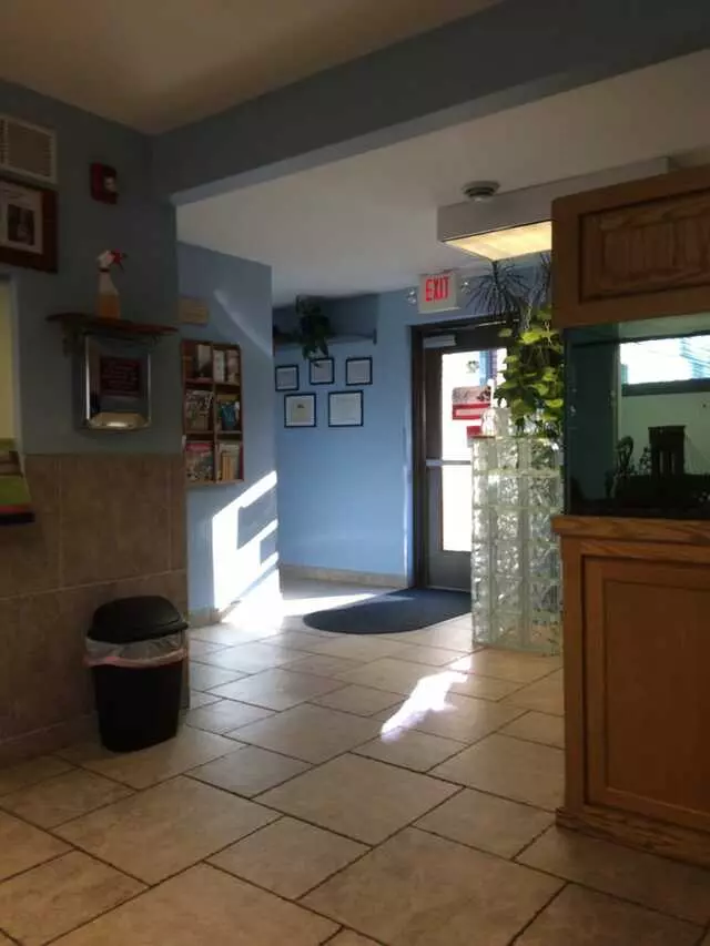 Always Compassionate Veterinary Care
