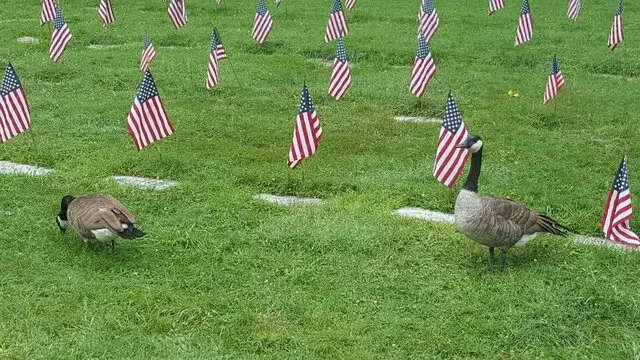 Allegheny Cemetery