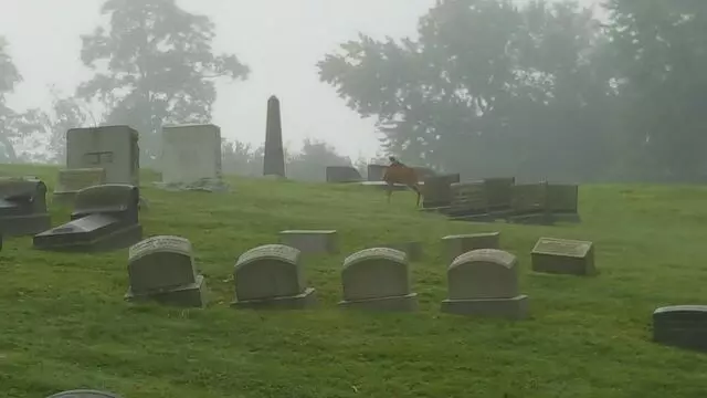 Allegheny Cemetery