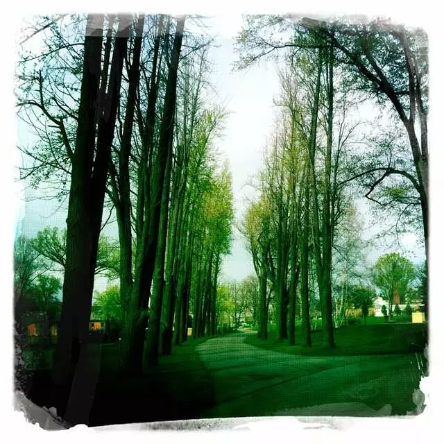 Allegheny Cemetery
