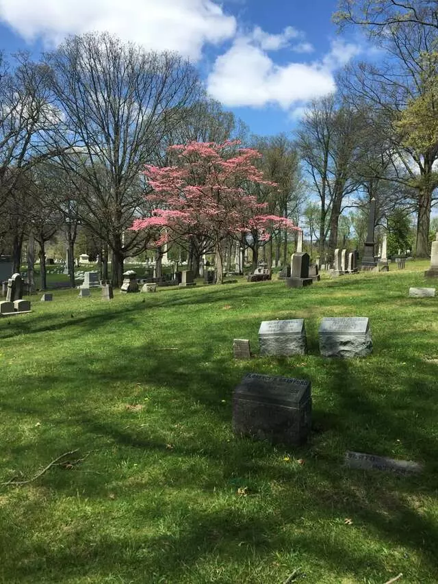 Allegheny Cemetery