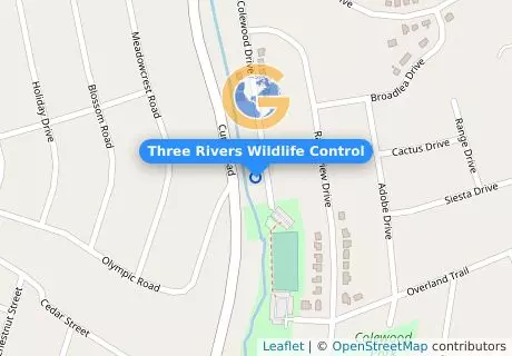 Three Rivers Wildlife Control