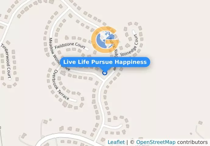 Live Life Pursue Happiness