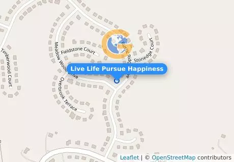 Live Life Pursue Happiness