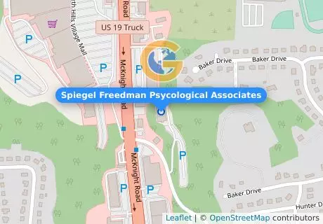Spiegel Freedman Psycological Associates
