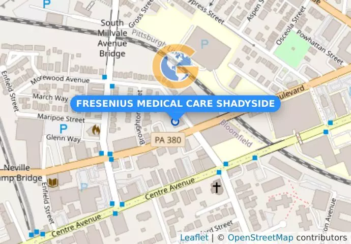 FRESENIUS MEDICAL CARE SHADYSIDE