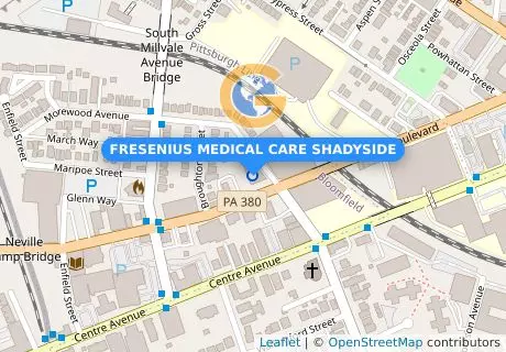 FRESENIUS MEDICAL CARE SHADYSIDE