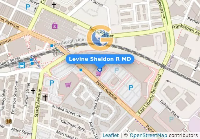 Levine Sheldon R MD