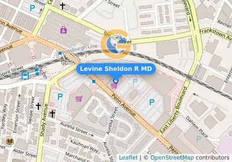 Levine Sheldon R MD