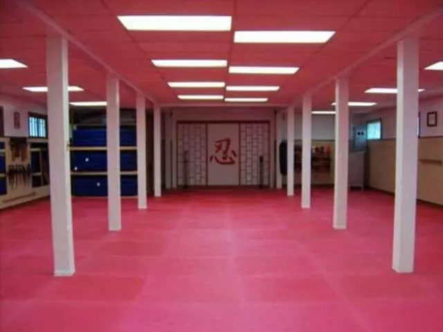Allegheny County Budo Kai