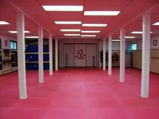 Allegheny County Budo Kai