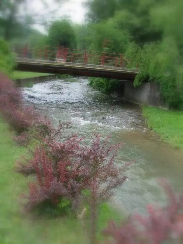 Avonworth Community Park