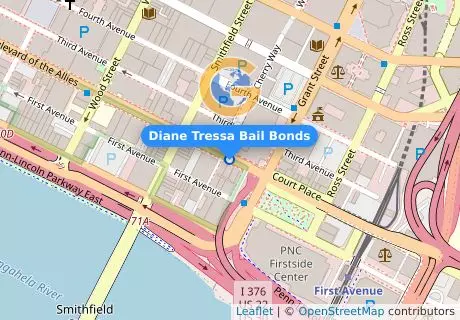 Diane Tressa Bail Bonds