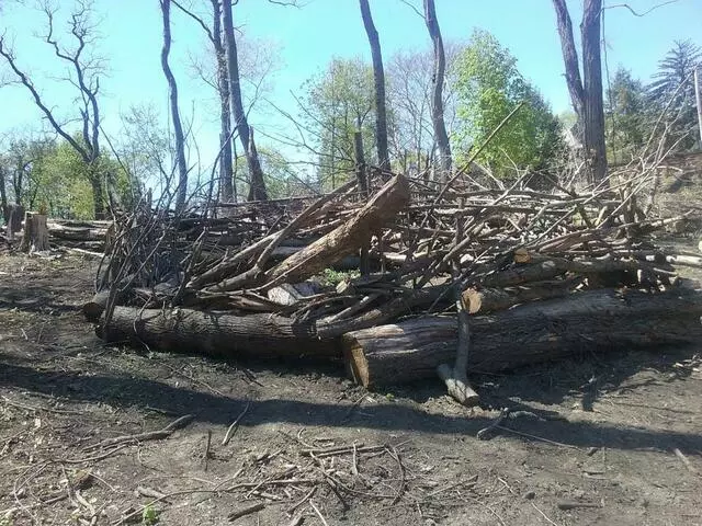 Frick Environmental Center