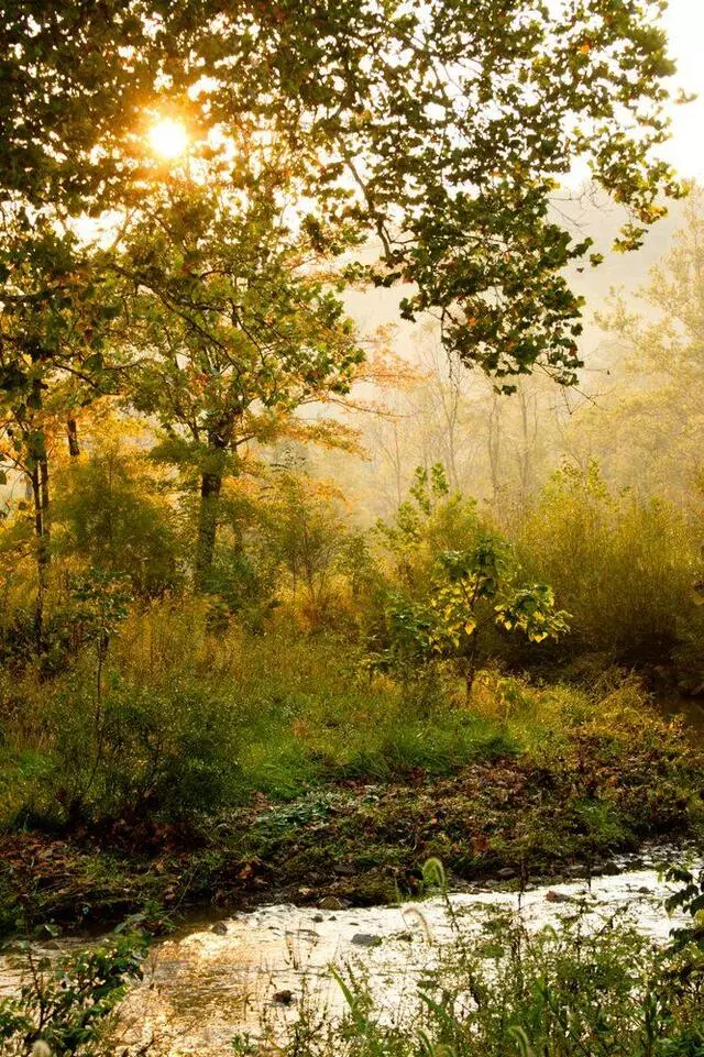 Frick Environmental Center