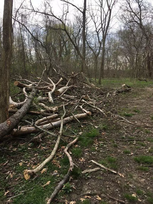 Frick Environmental Center