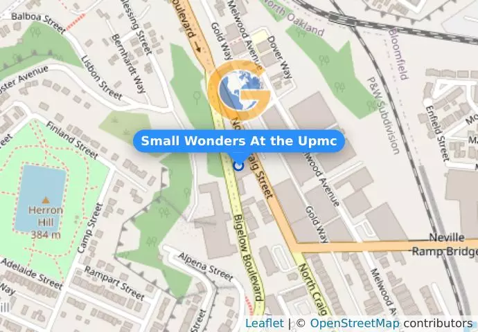 Small Wonders At the Upmc