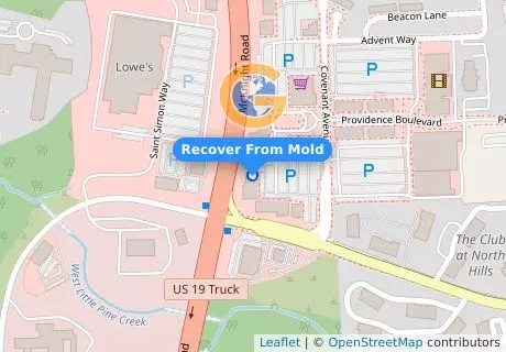 Recover From Mold