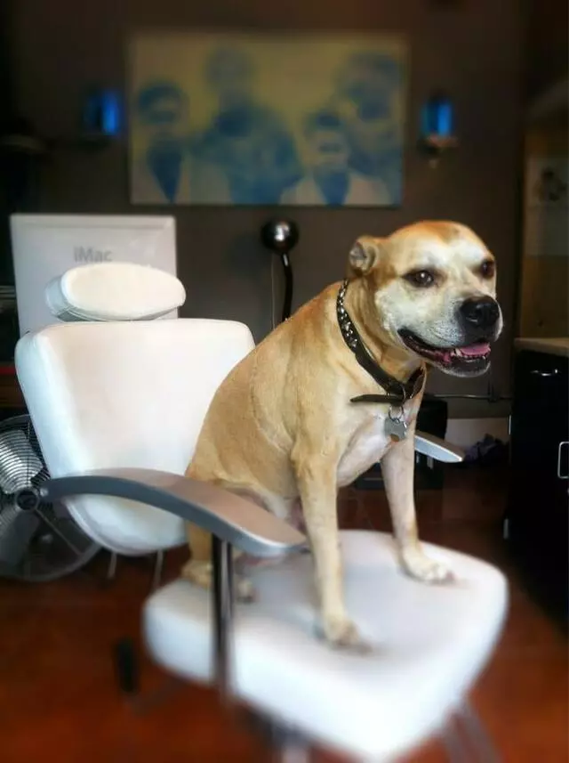 Alder Street Barber