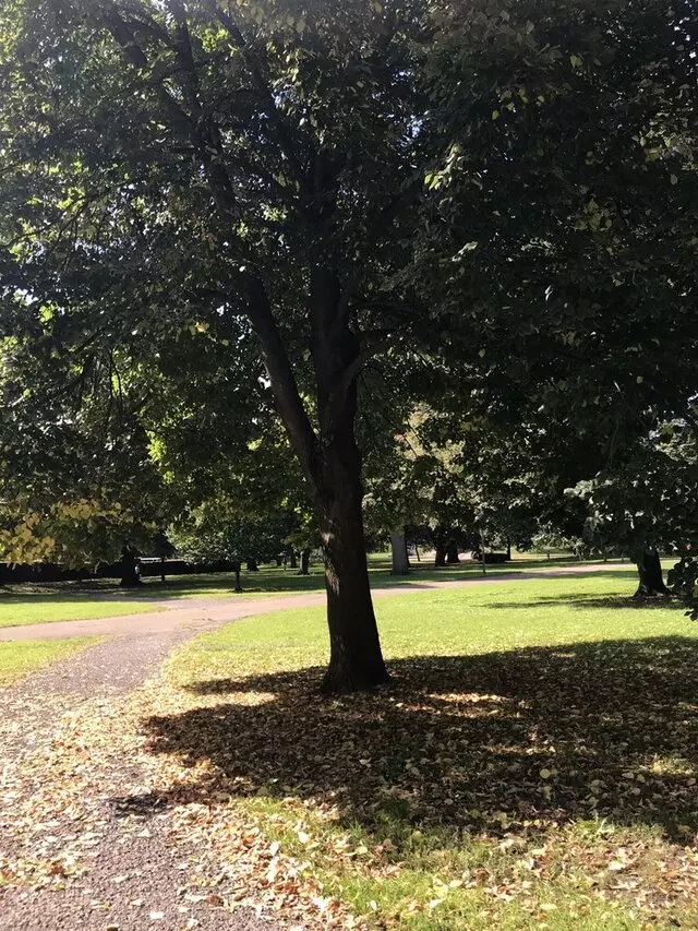 Allegheny Commons Park