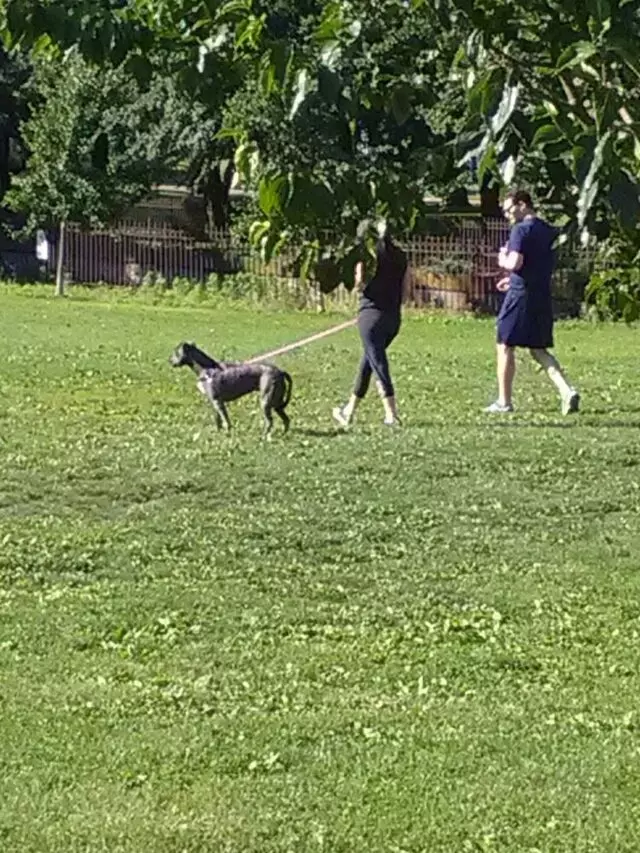 Allegheny Commons Park