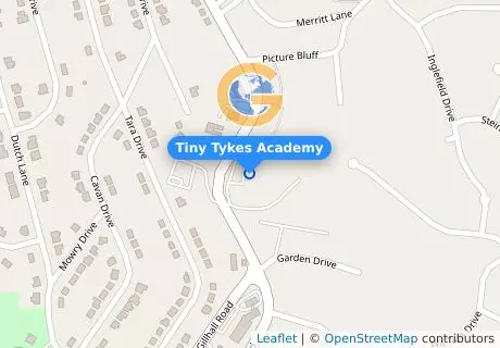 Tiny Tykes Academy