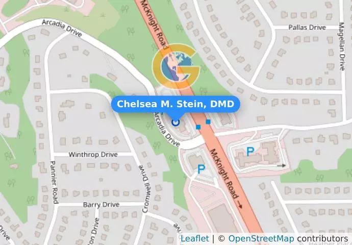 Chelsea M. Stein, DMD