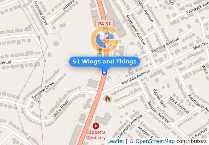 51 Wings and Things