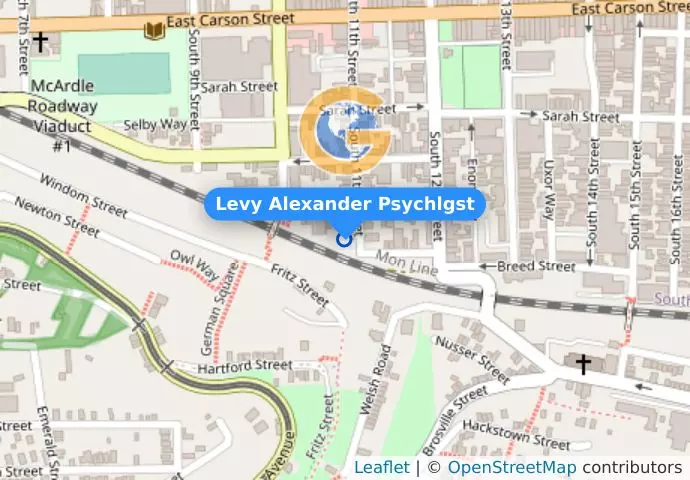 Levy Alexander Psychlgst