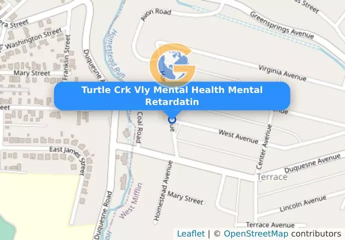 Turtle Crk Vly Mental Health Mental Retardatin