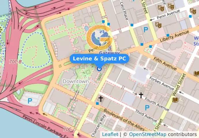 Levine & Spatz PC