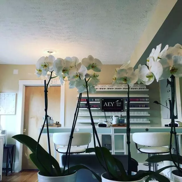 AEY Nail Bar