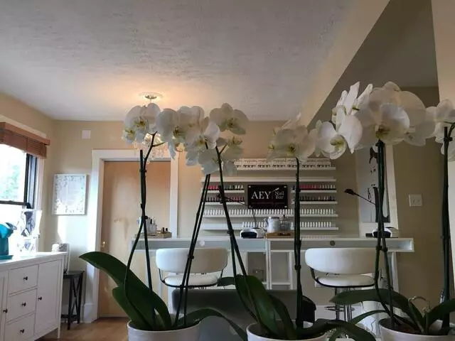 AEY Nail Bar