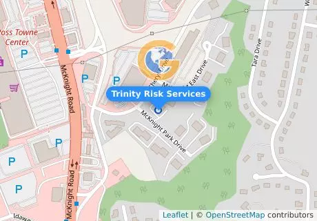 Trinity Risk Services