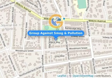 Group Against Smog & Pollution
