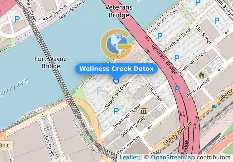 Wellness Creek Detox