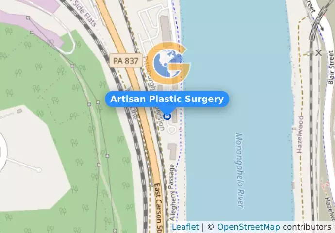 Artisan Plastic Surgery