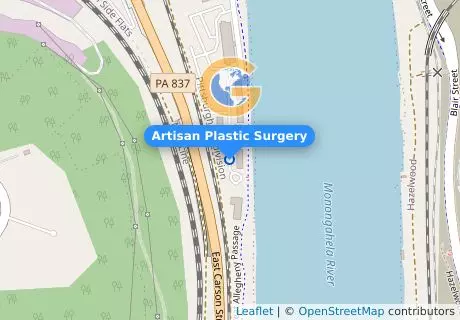 Artisan Plastic Surgery