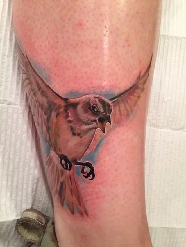 Armature Tattoo Co.